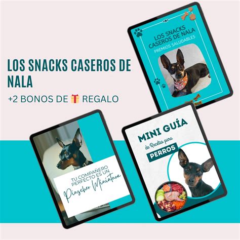 Alimentos Pinscher Prohibidos Que Debes Conocer