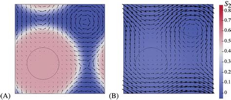 Snapshots Of Crystalline And Amorphous Phases Growing From Nuclei At Download Scientific