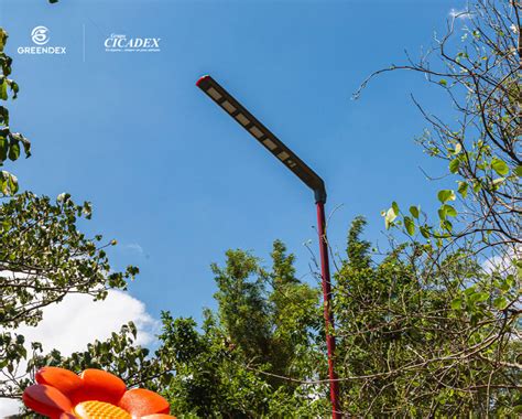 Iluminaci N Led Solar Cicadex Greendex