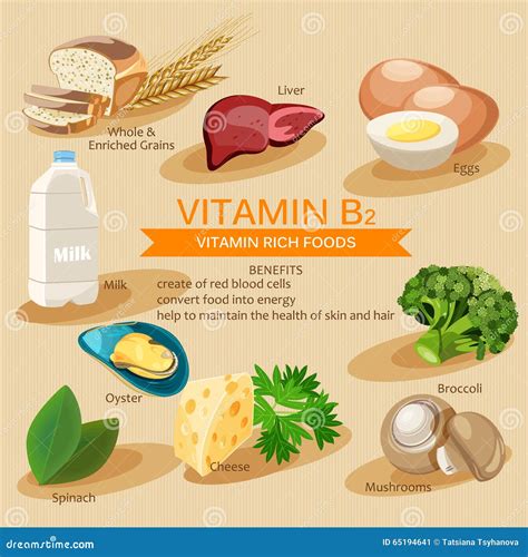 Vitamin B2. Vitamins and Minerals Foods. Vector Flat Icons Graphic ...