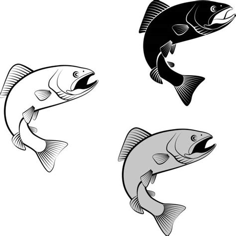 Speckled Trout Illustrations, Royalty-Free Vector Graphics & Clip Art ...