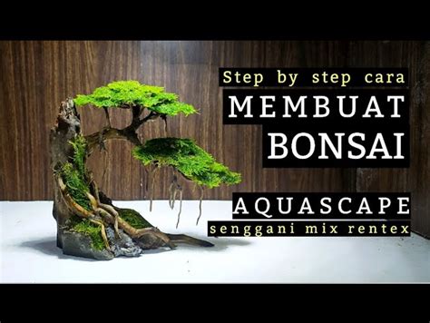 Panduan Cara Membuat Bonsai Aquascape Untuk Para Pemula Pasundan Ekspres