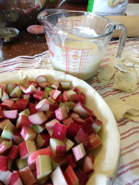 How To Make Rhubarb Sour Cream Pie And Learn Rhubarb S Medicinal Uses