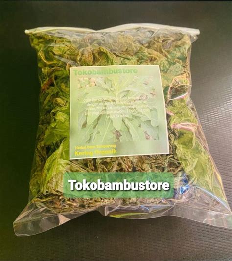 Herbal Batu Ginjal Daun Tempuyung Kering Asli Lazada Indonesia