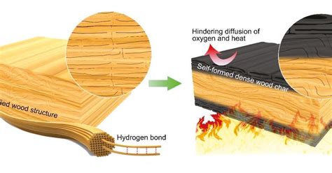 Inventors Of Bullet Proof Wood Create Fire Proof Wood Research