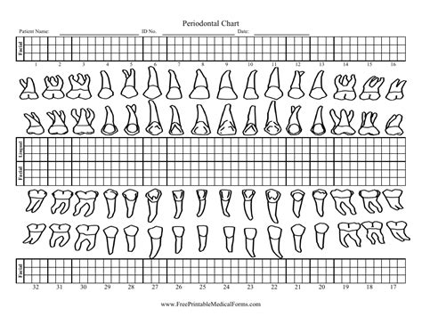 Periodontal Chart Template Download Printable Pdf Templateroller