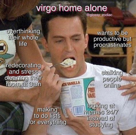 Funny And Relatable Virgo Memes That Are Basically Facts Artofit