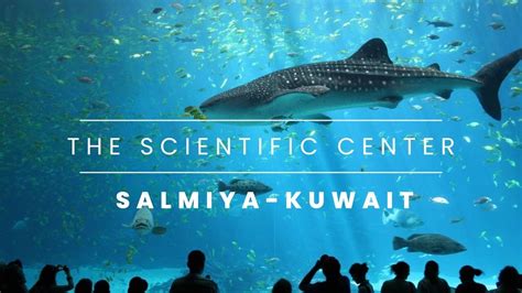 The Scientific Center Kuwait Salmiya Aquarium Kuwait Aquarium Youtube