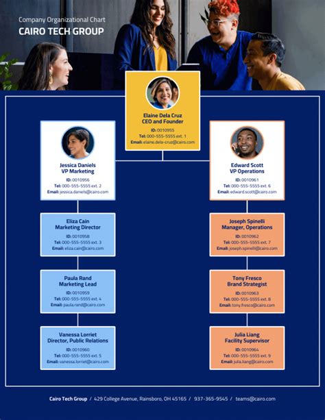 Organizational Chart: Definition, Examples & Templates - Venngage