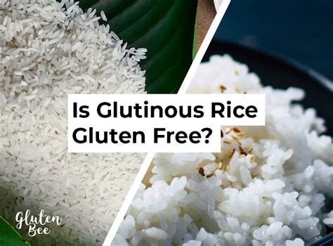 Is Glutinous Rice Gluten Free Glutenbee