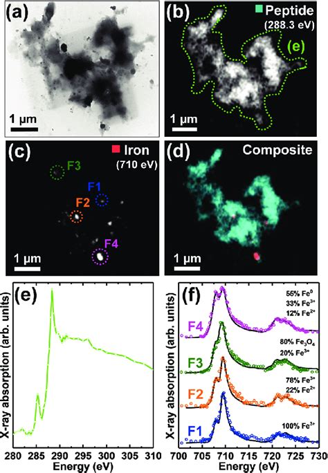 Tem Image Stxm Speciation Maps Carbon K Edge And Iron L Edge