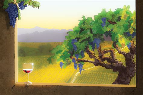 The Tangled Tale of Zinfandel - Imbibe Magazine