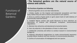 Botanical Garden PPT