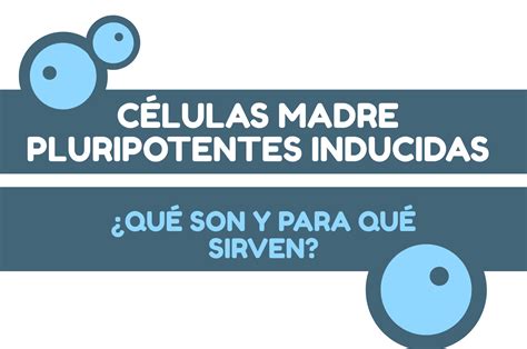 C Lulas Madre Pluripotentes Inducidas Qu Son Genotipia