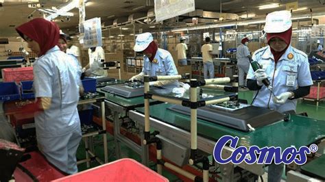 Lowongan Kerja Pt Star Cosmos Penempatan Tangerang Info Loker Serang