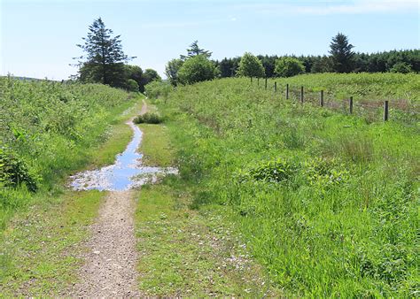 A Puddle On The Path Anne Burgess Cc By Sa 2 0 Geograph Britain