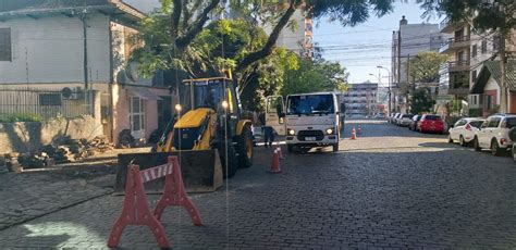 Caminhão derruba parte de árvore e deixa o trânsito lento na Rua