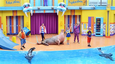 Clyde And Seamores Sea Lion High Debuts At Seaworld Orlando Premiere