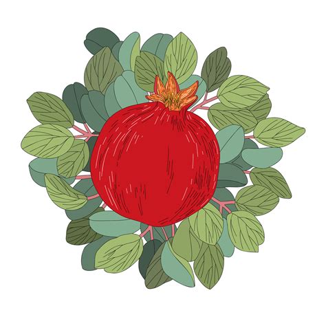 Juicy Ripe Pomegranate Fruit With Leaves Vector Illustration Isolated