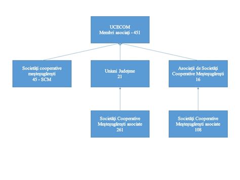 Structura Organizatorica