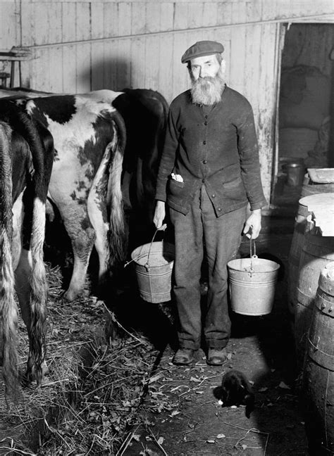 Ct Ice Cream Is The Cherry On Top Of Centuries Of Dairy Farming