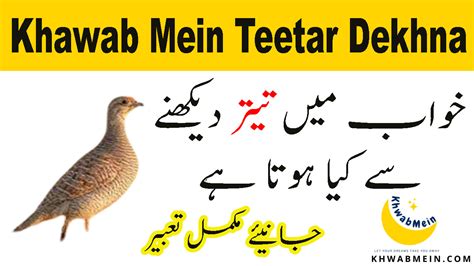 Khawab Mein Teetar Dekhna Ki Tabeer In Urdu Khwabmein