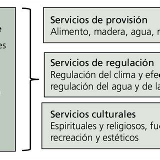 Clasificación de los servicios ecosistémicos Download Scientific Diagram