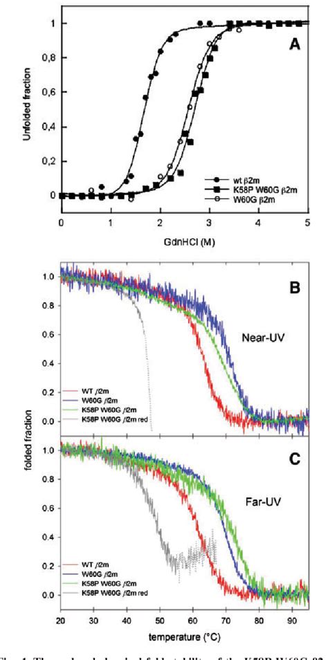 Figure 1 From The Effects Of An Ideal Beta Turn On Beta 2 Microglobulin