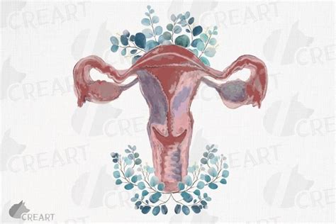 Watercolor Eucalyptus Blush Pink Uterus Health Graphic Decor