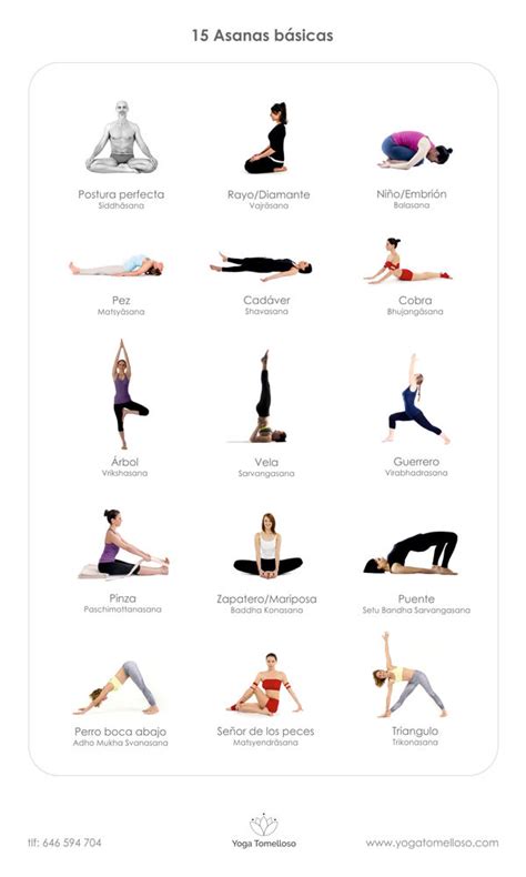 15 Posturas básicas de yoga