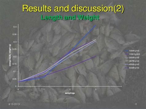 Effects Of Stocking Density Presentation