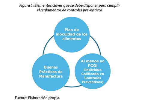 Reglamento De Controles Preventivos De La Ley Fsma Ibro