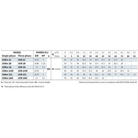 Elettropompa JET JSWm 2CX 1 HP Autoadescante Monofase PEDROLLO 0 75 KW 220V
