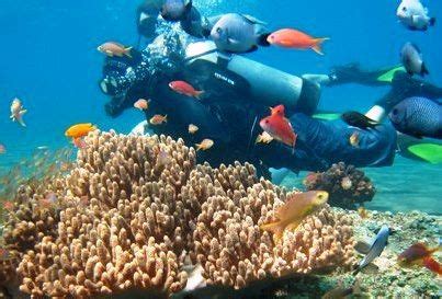 Hikkaduwa Is Mostly Popular Because Of The Natural Coral Reef This