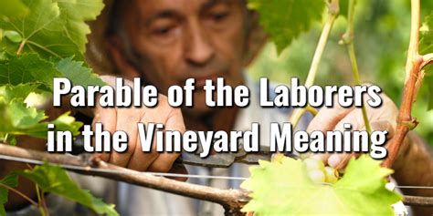 The Parable of the Laborers in the Vineyard Meaning & ScriptureLord's Library