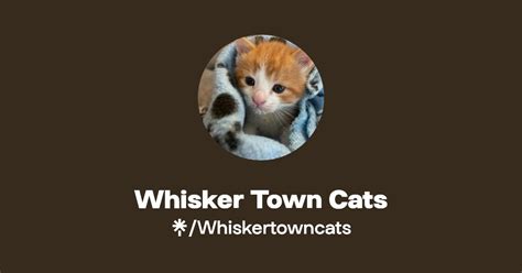 Whisker Town Cats Instagram Facebook Linktree