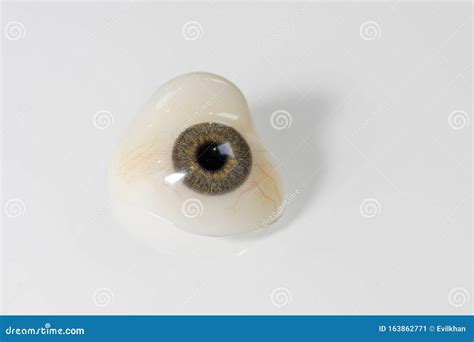 Glass Eye Prosthetic Or Ocular Prosthesis With Shadow On White Stock