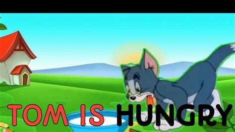 Tom Is Hungrytom And Jerry Funny Cartoons Cartoons Ki Dunya Youtube