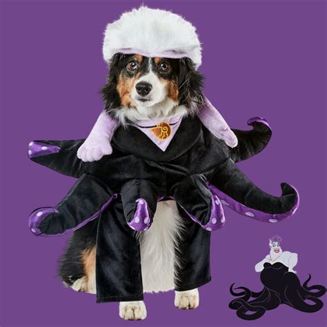 25 Best Disney Dog Costumes. Find Dog + Owner Costumes Too!