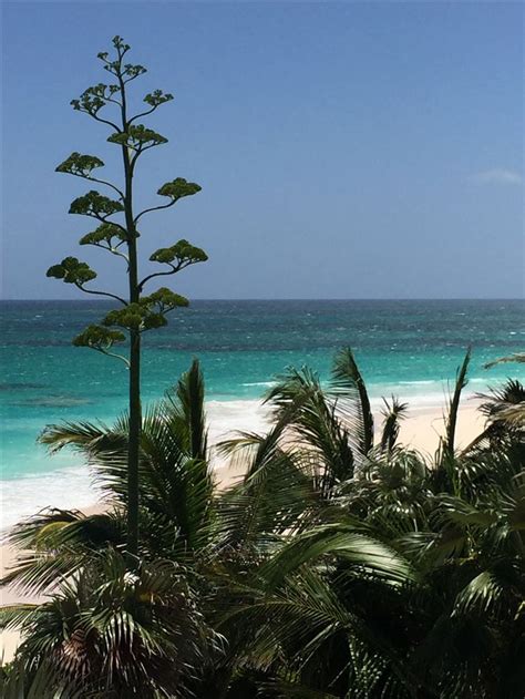 ~ Eleuthera Bahamas ~ | Eleuthera bahamas, Eleuthera, Bahamas