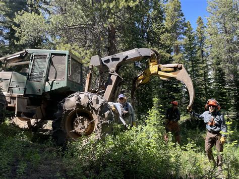 Aspen Mountain expansion proceeding on track with logging, lift