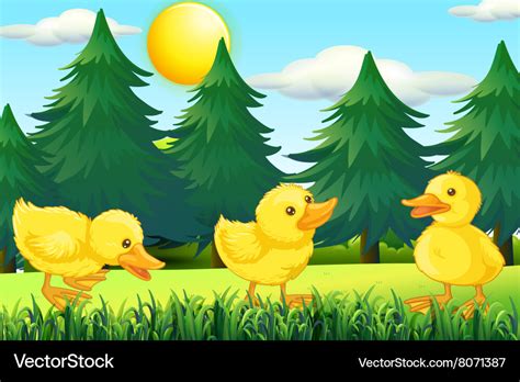 Three little ducklings in the park Royalty Free Vector Image