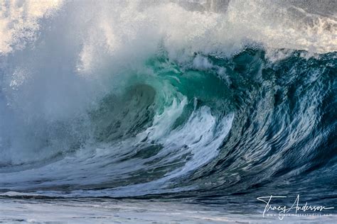 The Wedge Wave Photo, the Wedge Photography, the Wedge Surf Photography ...