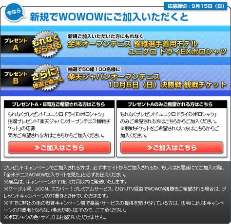 全米オープンテニス2013 Wowowxテニス365