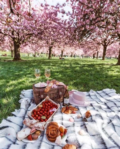 47 Garden Decoration Ideas For Dating On Your Valentines Day Picnic