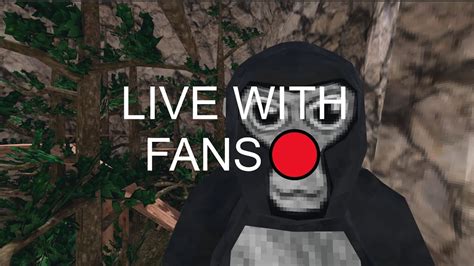 Gorilla Tag Live With Fans YouTube