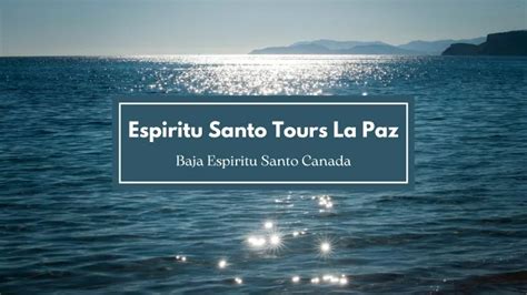 PPT Why Choose Our Private Boat Trips To Espiritu Santo Island Tour