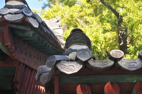 chinese roof tiles stock  royalty  chinese roof tiles images