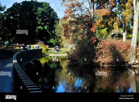 Vibrant Autumn Colours Stock Photo Alamy