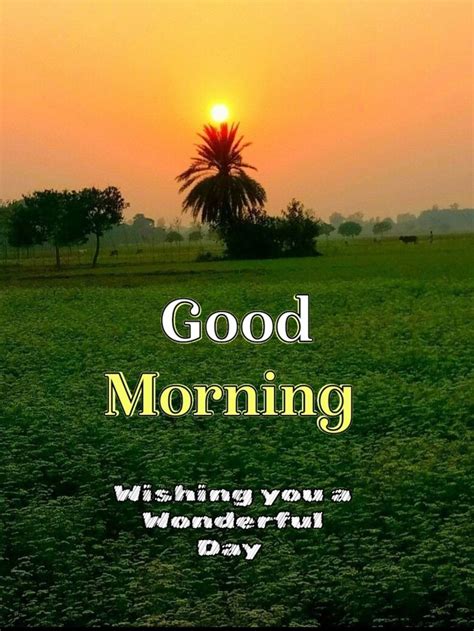 Pin By Pranesha Kulkarni On Good Morning In 2024 Good Morning Nature